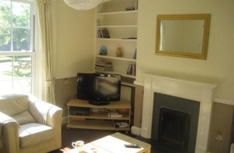 Acorns Collage 3 e1680784487162