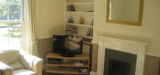 Acorns Collage 3 e1680784487162