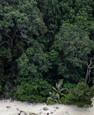 photo 1592048299189 8de477cc1070