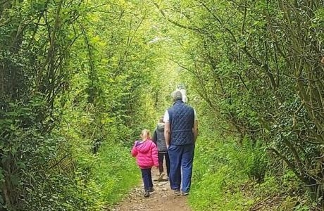 Screenshot 2021 01 11 at 15 24 48